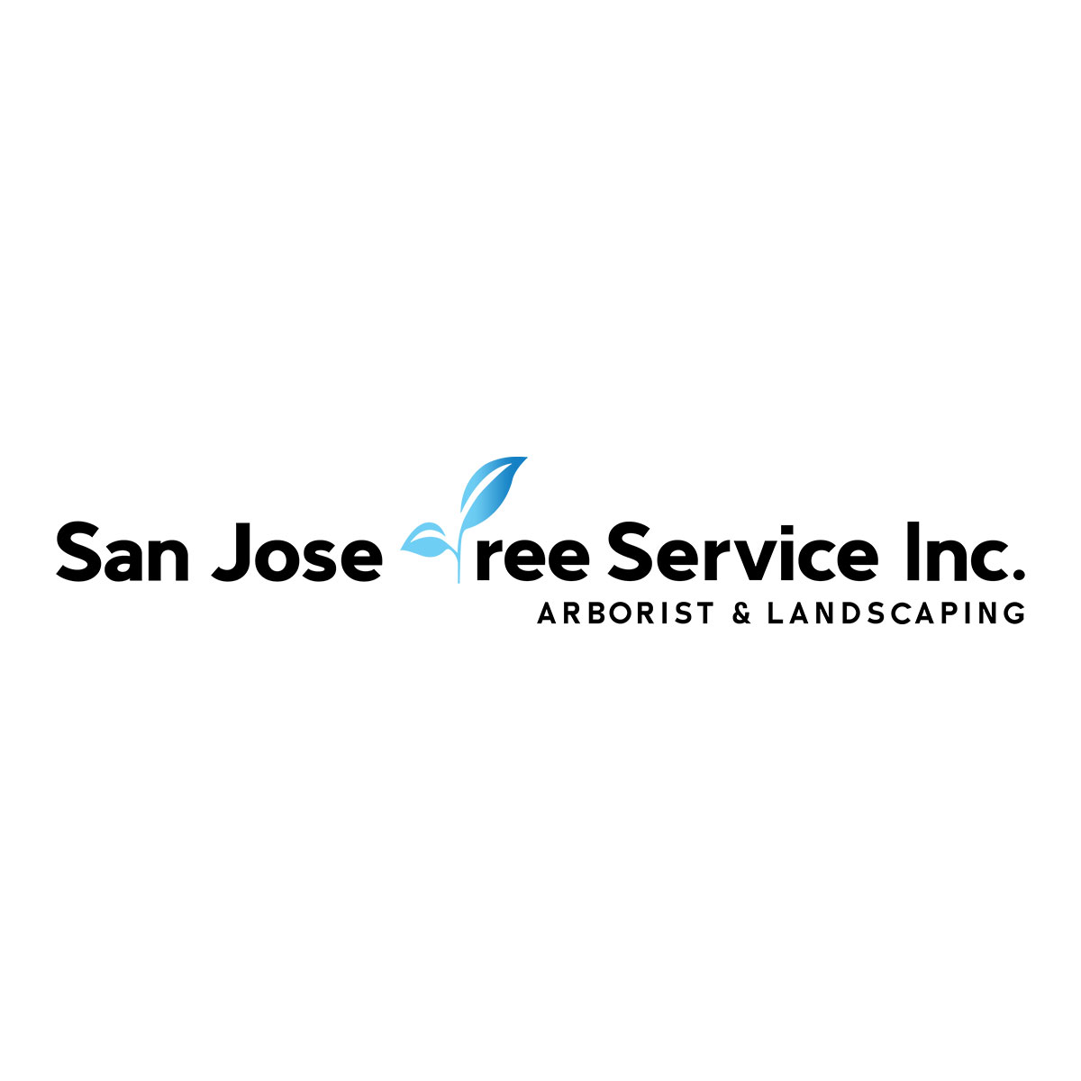 San Jose Tree Service & Landscaping Addresses Changing Residential Tree Care Needs Across Silicon Valley