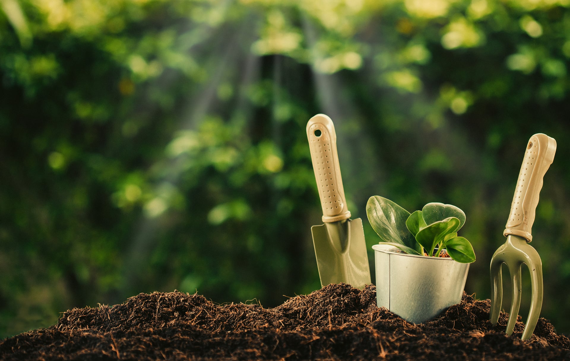 Eco-Friendly Liquid Humic Acid Soil Amendment For Organic Gardening Announced